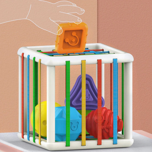 montessori-shape-sorting-cube-Montessori Educational Toy