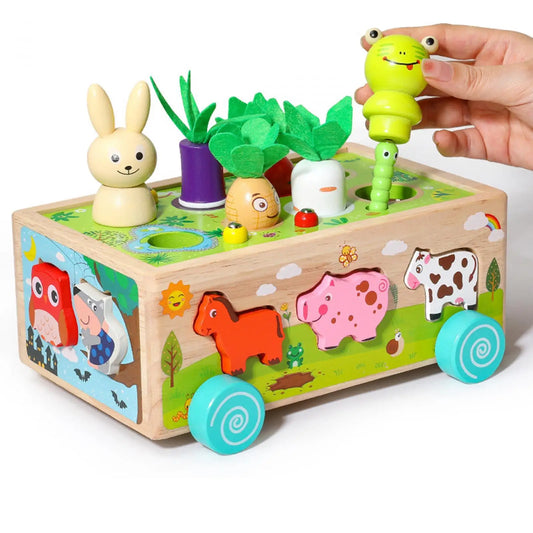 montessori-carrot-harvest-game-Montessori Educational Toy