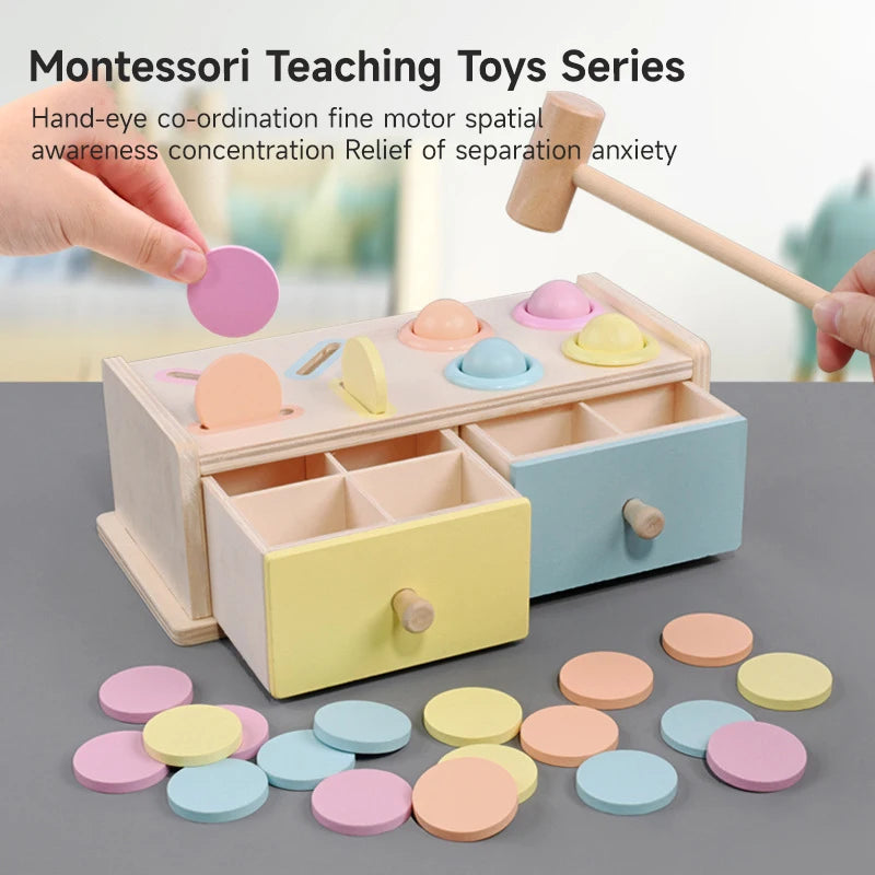 montessori-coin-box-busy-drum-Montessori Educational Toy